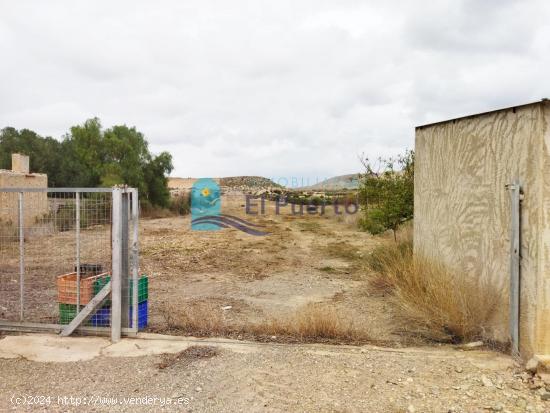 TERRENO RURAL VALLADO EN ALHAMA DE MURCIA - REF 539 - MURCIA