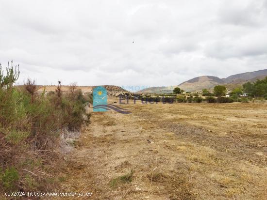 TERRENO RURAL VALLADO EN ALHAMA DE MURCIA - REF 539 - MURCIA