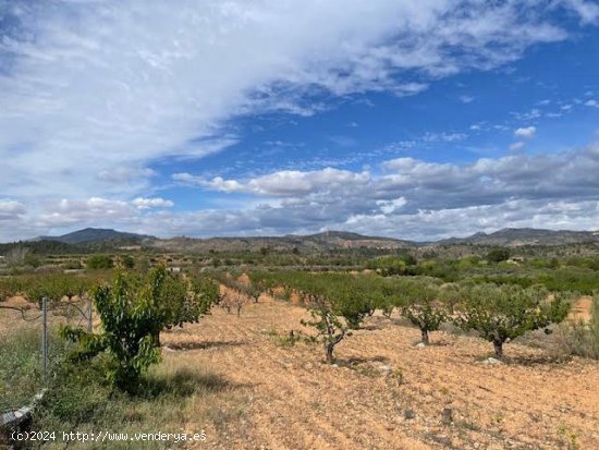 Finca en venta en Teresa de Cofrentes (Valencia)