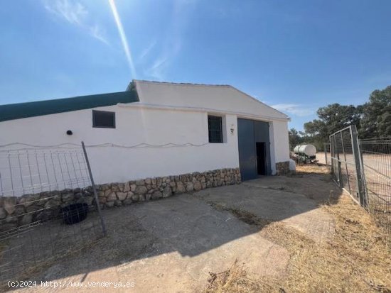  Finca en venta en Ayora (Valencia) 