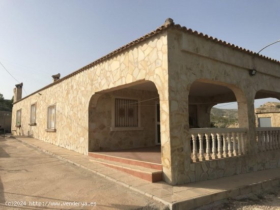  Finca en venta en Crevillent (Alicante) 