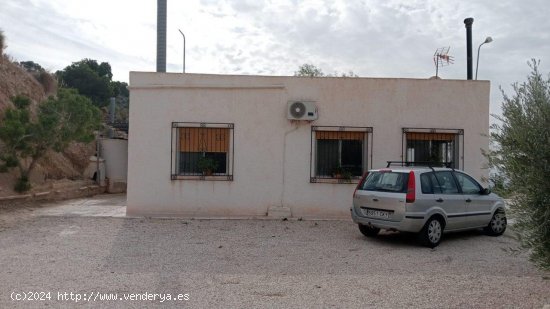 Finca en venta en Crevillent (Alicante)