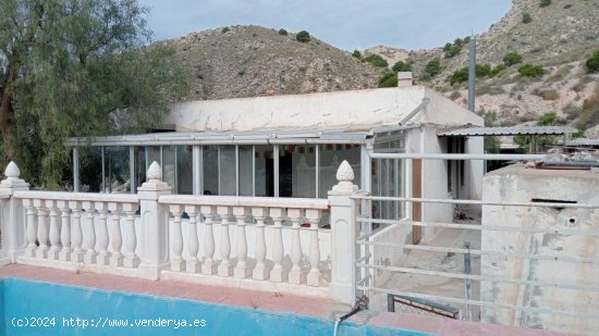 Finca en venta en Crevillent (Alicante)