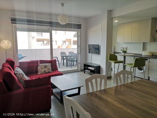 Apartamento en alquiler en Oliva (Valencia)