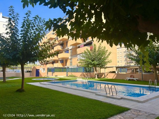  Apartamento en alquiler en Daimús (Valencia) 