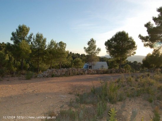 Parcela en venta en Teresa de Cofrentes (Valencia)