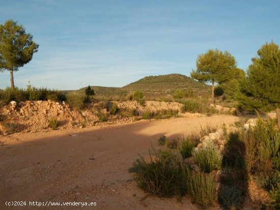 Parcela en venta en Teresa de Cofrentes (Valencia)