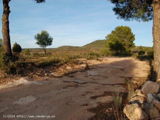 Parcela en venta en Teresa de Cofrentes (Valencia)