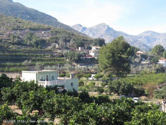 Finca en venta en Pego (Alicante)