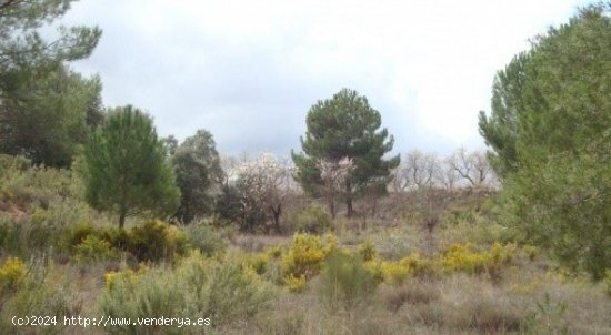 Parcela en venta en Ayora (Valencia)