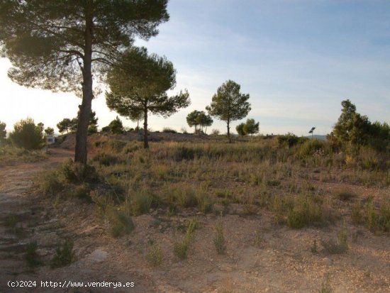 Parcela en venta en Teresa de Cofrentes (Valencia)