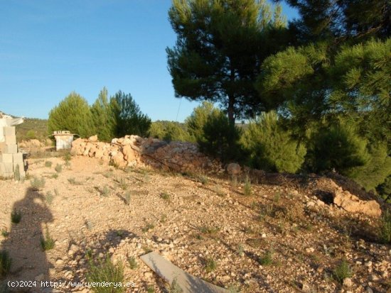 Parcela en venta en Teresa de Cofrentes (Valencia)