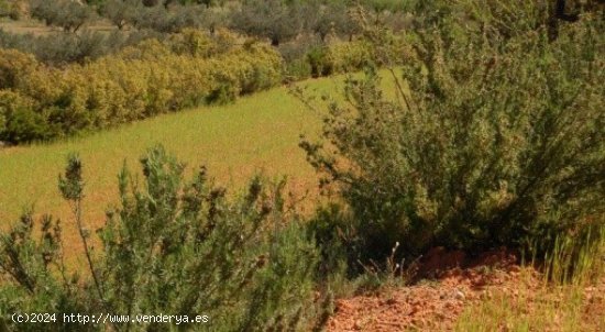 Parcela en venta en Teresa de Cofrentes (Valencia)