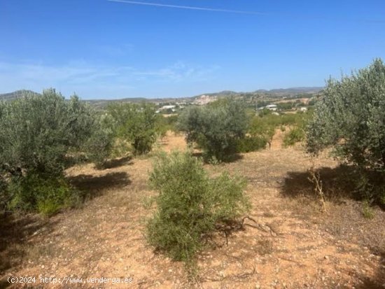 Finca en venta en Ayora (Valencia)