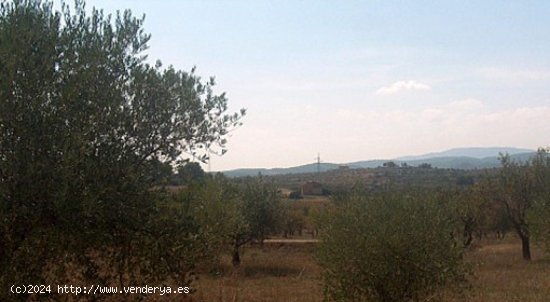 Parcela en venta en Teresa de Cofrentes (Valencia)