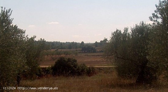 Parcela en venta en Teresa de Cofrentes (Valencia)