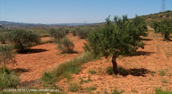 Parcela en venta en Teresa de Cofrentes (Valencia)