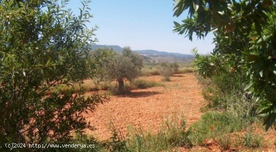 Parcela en venta en Teresa de Cofrentes (Valencia)