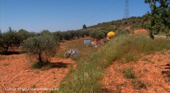 Parcela en venta en Teresa de Cofrentes (Valencia)