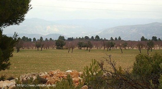 Parcela en venta en Zarra (Valencia)