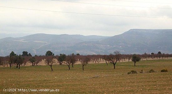 Parcela en venta en Zarra (Valencia)