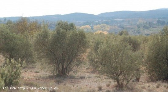 Parcela en venta en Teresa de Cofrentes (Valencia)