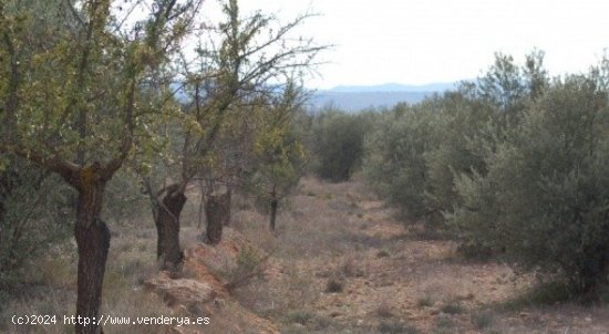 Parcela en venta en Teresa de Cofrentes (Valencia)