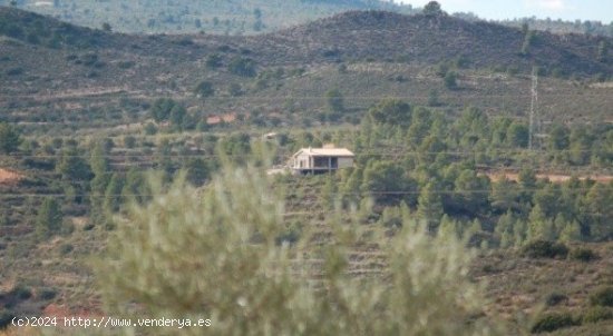 Parcela en venta en Teresa de Cofrentes (Valencia)