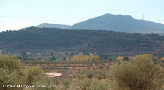 Parcela en venta en Teresa de Cofrentes (Valencia)