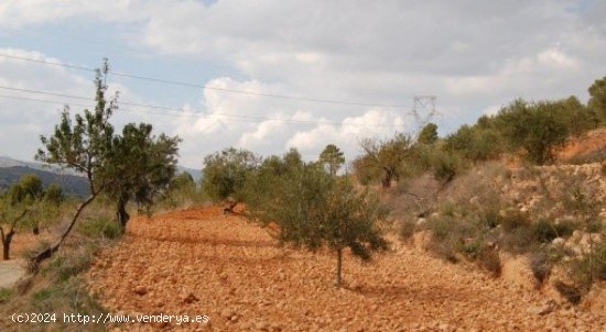  Parcela en venta en Teresa de Cofrentes (Valencia) 