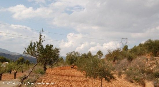 Parcela en venta en Teresa de Cofrentes (Valencia)