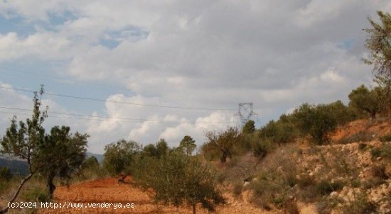 Parcela en venta en Teresa de Cofrentes (Valencia)