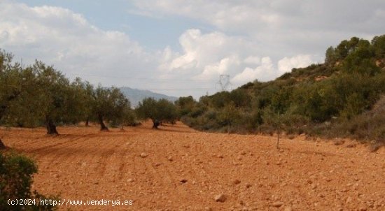 Parcela en venta en Teresa de Cofrentes (Valencia)