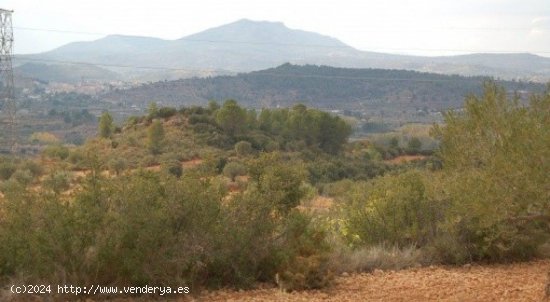 Parcela en venta en Teresa de Cofrentes (Valencia)