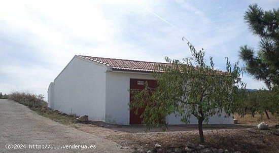  Finca en venta en Zarra (Valencia) 