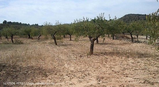 Finca en venta en Zarra (Valencia)