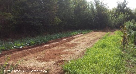 Parcela en venta en Teresa de Cofrentes (Valencia)