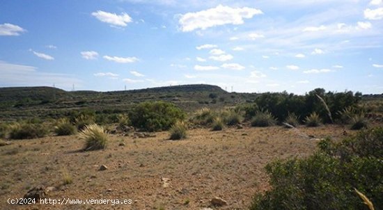 Parcela en venta en Almansa (Albacete)