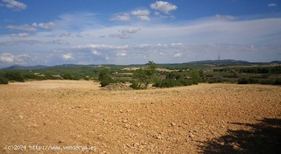 Parcela en venta en Almansa (Albacete)