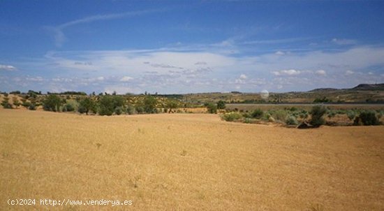 Parcela en venta en Almansa (Albacete)