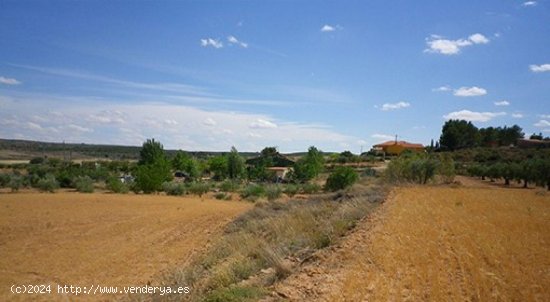 Parcela en venta en Almansa (Albacete)