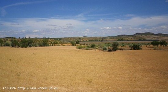 Parcela en venta en Almansa (Albacete)