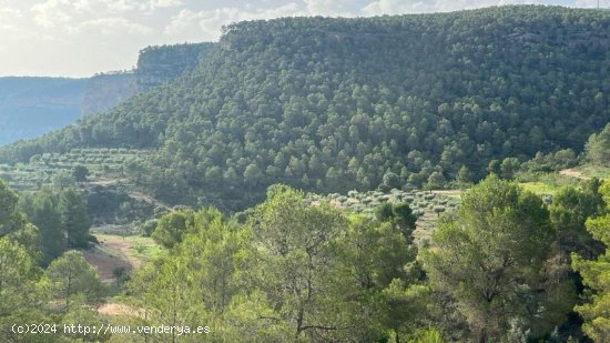 Finca en venta en Jalance (Valencia)