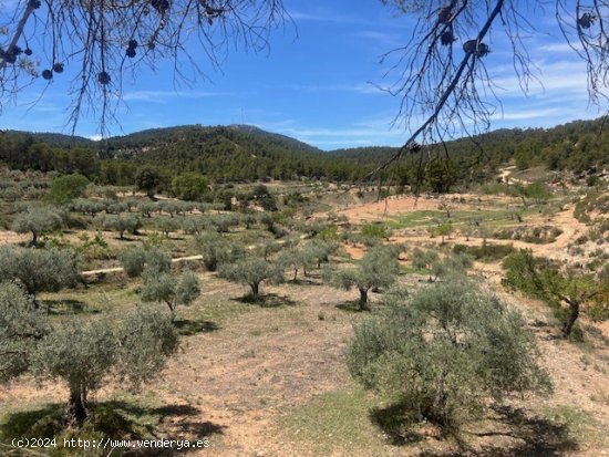 Finca en venta en Jalance (Valencia)