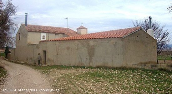 Finca en venta en Almansa (Albacete)