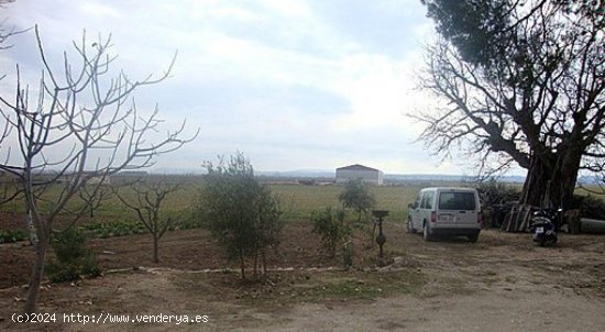 Finca en venta en Almansa (Albacete)