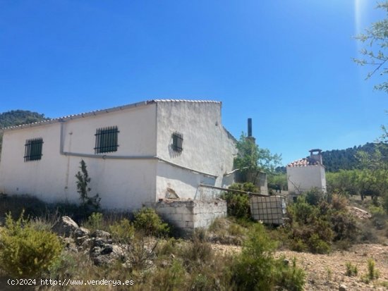 Finca en venta en Zarra (Valencia)