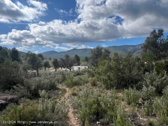 Finca en venta en Teresa de Cofrentes (Valencia)