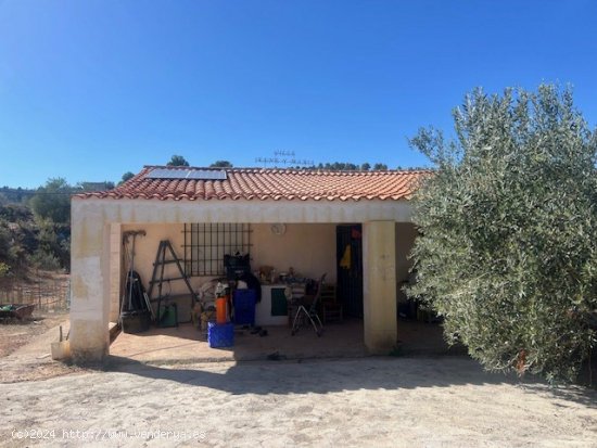 Finca en venta en Ayora (Valencia)