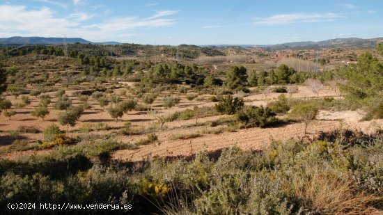 Parcela en venta en Teresa de Cofrentes (Valencia)